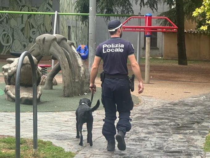 Spaccio di droga, a Treviglio 673 fermi nei primi otto mesi dell’anno