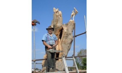 «Nonno Diego» scolpisce l’albero che ha guarito l’amico Bosia