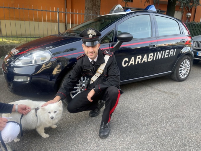 Perde la sua cagnolina, i carabinieri salvano la piccola Flò