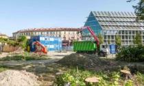 Abbattuti i Tigli in piazza Baiamonti a Milano