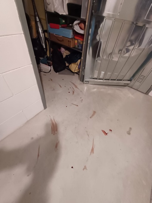 Tentano di ripulire box e cantine ma si feriscono e lasciano una scia di sangue