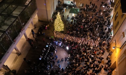 La magia del Natale si accende anche a Treviglio con l'albero della Bcc