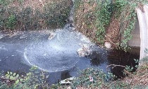 Sostanze inquinanti nelle acque: allarme ambientale nel fontanone
