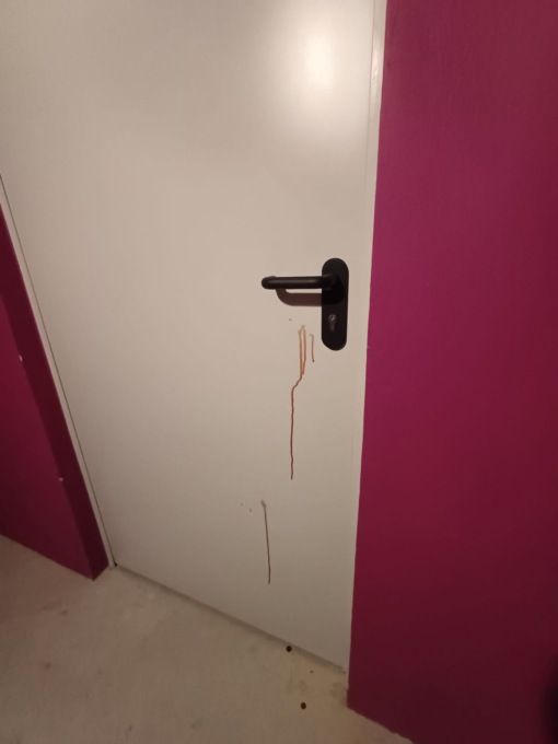 Ladri si feriscono