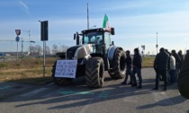 Gli agricoltori in protesta contro le direttive europee e un governo sordo