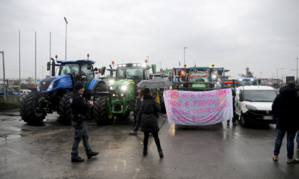 Treviglio invasa dai trattori, la protesta agricola fa tappa in città