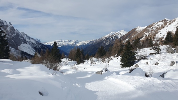 Gruppo Camminatori Verdellino