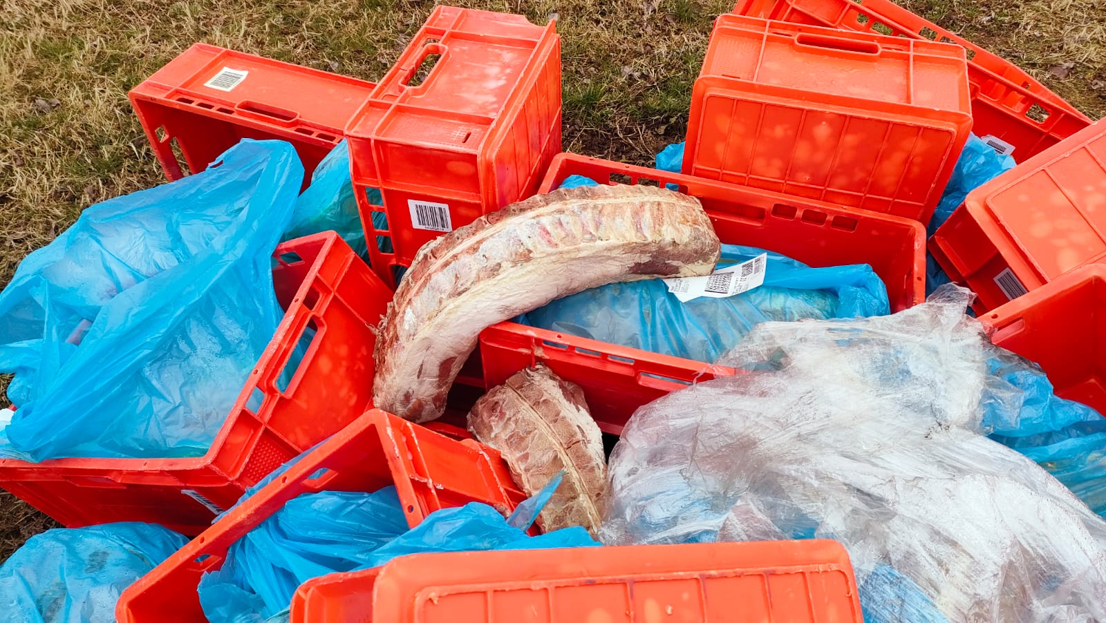 Martinengo Carne avariata abbandoanata tra l'erba