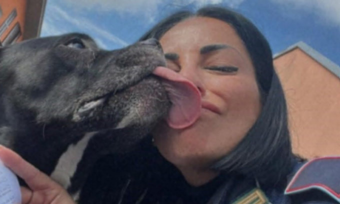 Legato alla catena senza acqua e cibo, la Polizia locale salva un cane maltrattato