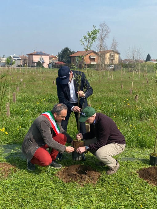 Messe a dimora 750 piante