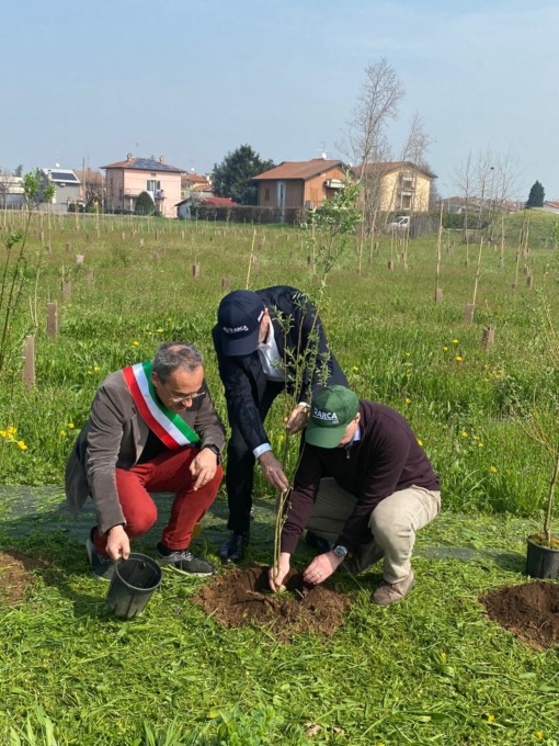 Messe a dimora 750 piante