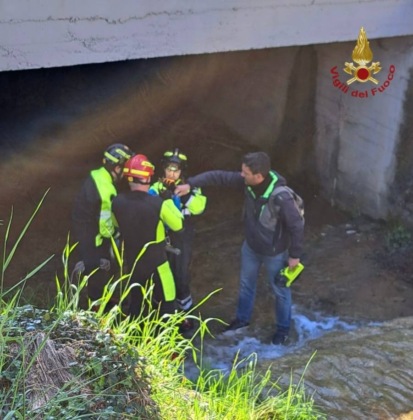 Scivola in un torrente, capriolo salvato dai Vigili del fuoco