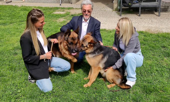 La fiaba della lupacchiotta salvata dal cane più ricco del mondo