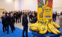 A Cortenuova matureranno le banane  Ciquita per mezza Europa