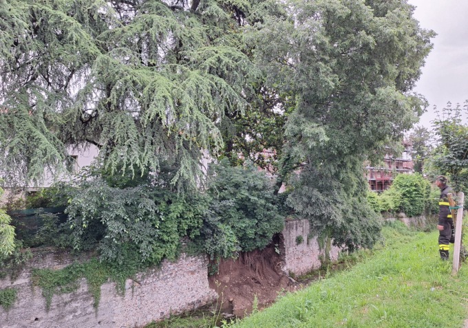 Grosso albero frana e minaccia di schiantarsi sul vallo colleonesco