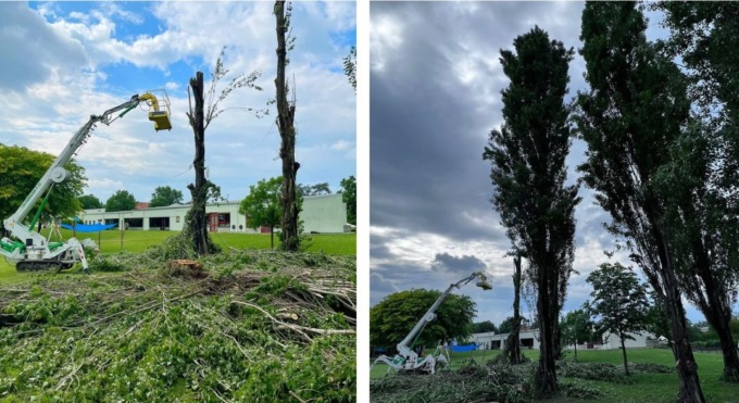 Abbattuti dieci alberi a San Bernardino, “Garantire la sicurezza dei bambini e delle maestre”