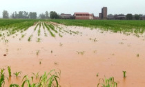 Dopo le bombe d’acqua è allarme nelle campagne per i danni ai raccolti