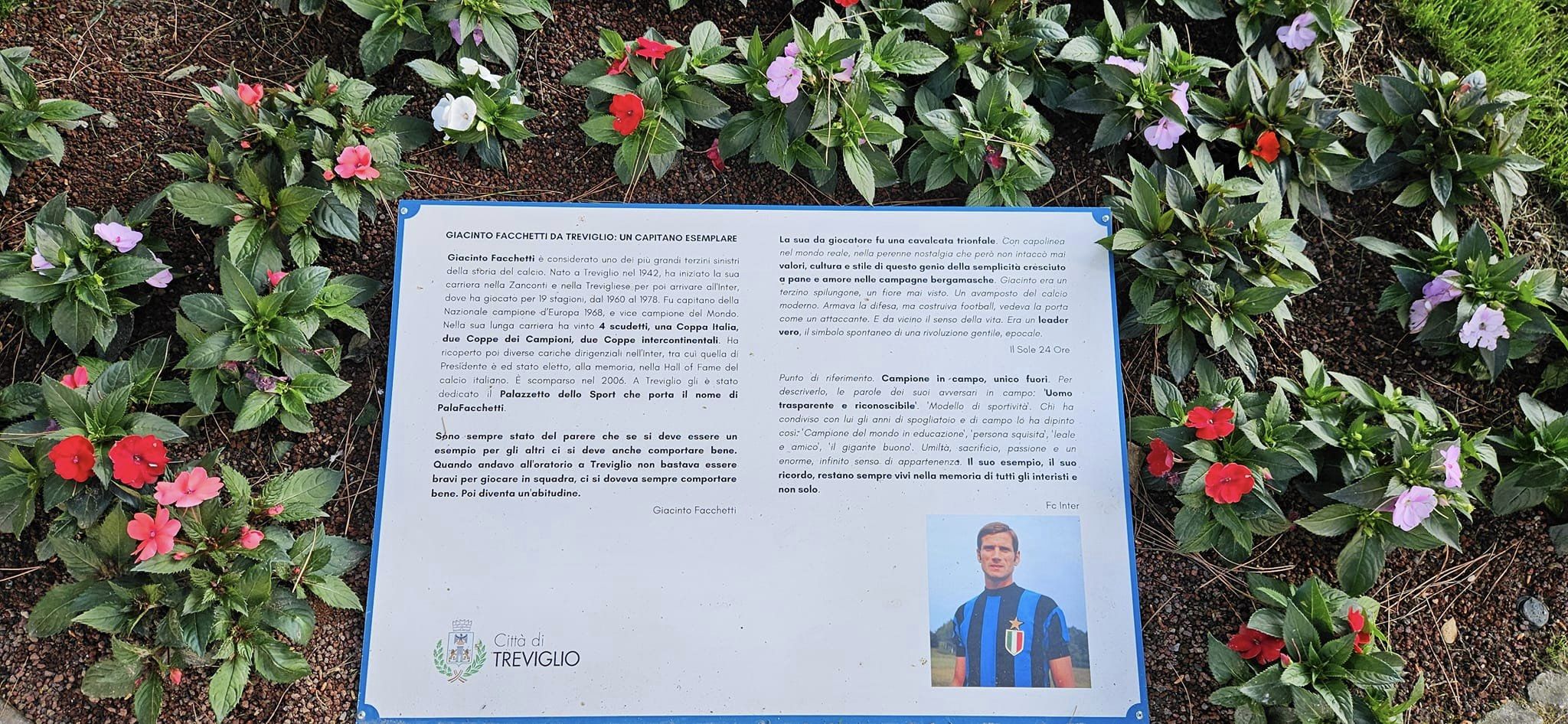 treviglio cervia in fiore 2024b