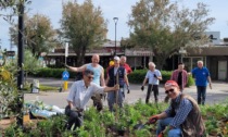 "Cervia in fiore", la presenza di Treviglio in Romagna raddoppia