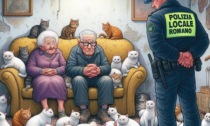 Due signore anziane vivevano in casa con trenta gatti