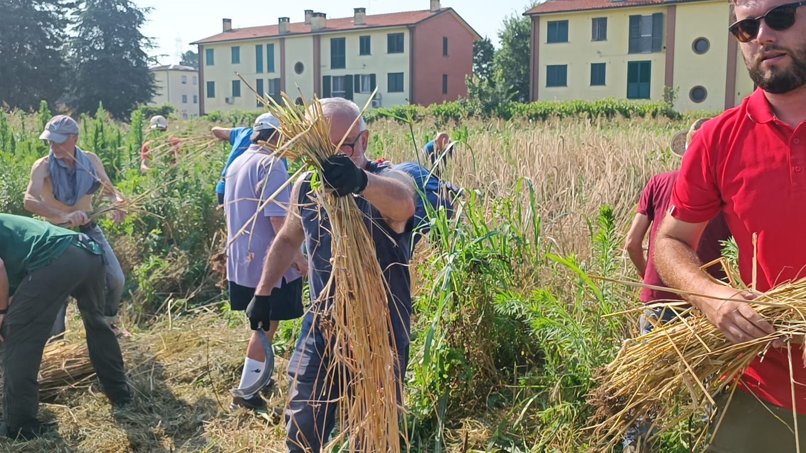 treviglio castel cerreto grani antichi 2024g