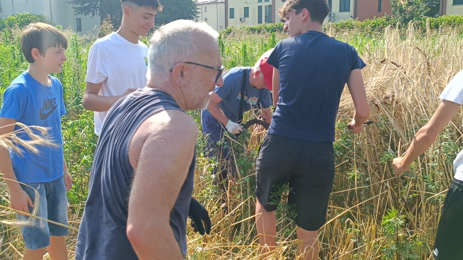 treviglio castel cerreto grani antichi 2024l