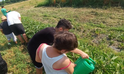 Vivere l’autismo lavorando negli orti scolastici del Cerreto