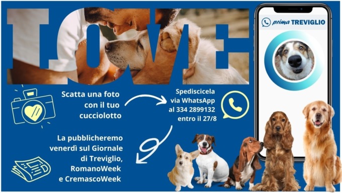 Oggi è la Giornata Mondiale del Cane: mandaci la foto del tuo fedelissimo amico