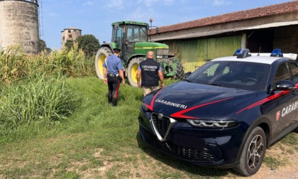 Lavoro nero e irregolarità, 17 denunce e sette attività sospese