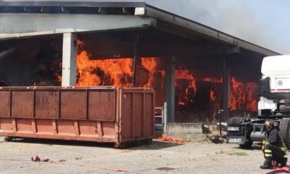 Fiamme in un'azienda agricola della Bassa