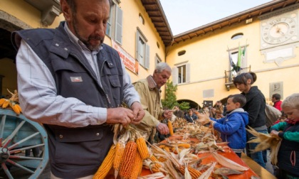 In Val Gandino sono "I giorni del melgotto", protagonista sua eccellenza il mais spinato