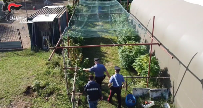 Coltivava cannabis nell’azienda agricola, arrestato imprenditore 44enne