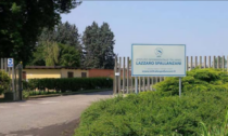 L'Istituto Spallanzani è in difficoltà, il Pd chiede l'intervento di Regione Lombardia