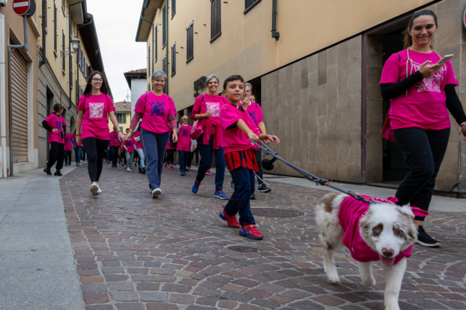 Marea rosa