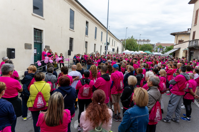 Marea rosa