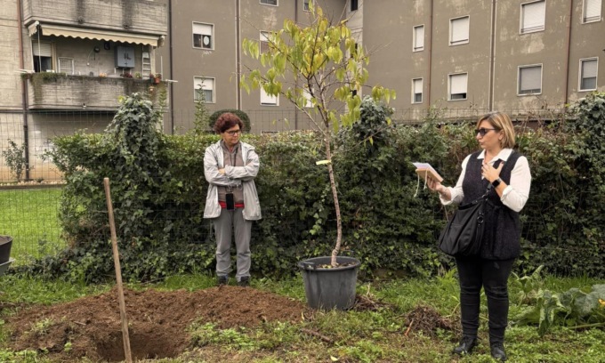 Agli orti urbani un pesco antico ricorderà l’amico Lucio Caccia