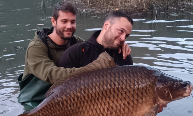 Lago d’Endine, pescata la carpa più grande mai certificata in Italia: pesa più di 35 chili