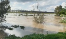 Allarme fiumi nella Bassa: esondano l'Adda a Fara e l'Oglio a Cividate