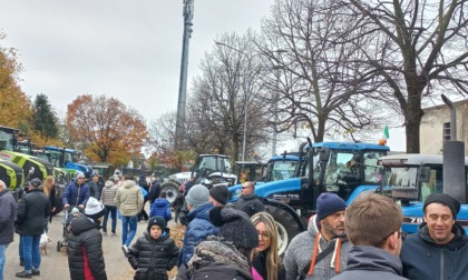 "Festa Ringraziamento", caroselli, giochi e mercato agricolo accendono il centro