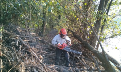 Ripulito da un volontario l'argine dell'Adda dopo la piena