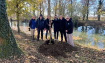 "Lions Club Treviglio Host" dona venti alberi per la riserva "Fontanile Brancaleone"