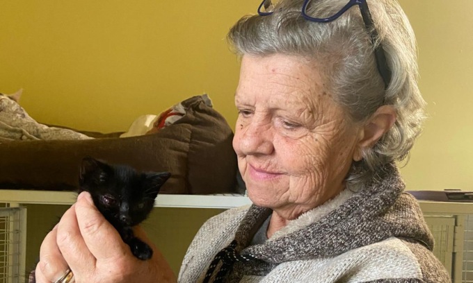 “I gatti di Anna” lancia l’appello: “Servono più volontari e risorse”