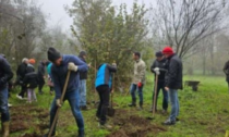 Al Parco del Roccolo nasce un sentiero per ricordare Graziella Barzago