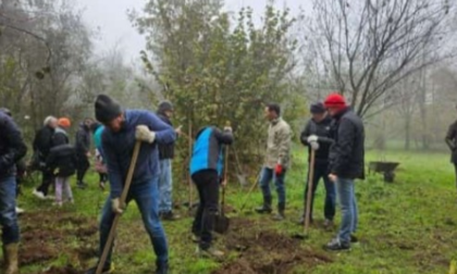 Al Parco del Roccolo nasce un sentiero per ricordare Graziella Barzago