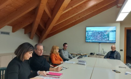 Patrimonio arboreo, prosegue il censimento a Treviglio