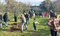 Festa dell'albero all’orto botanico di Treviglio: i bambini piantano un ulivo simbolo di pace