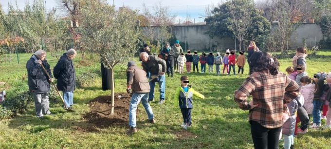 Festa dell’albero all’orto botanico di Treviglio: i bambini piantano un ulivo simbolo di pace
