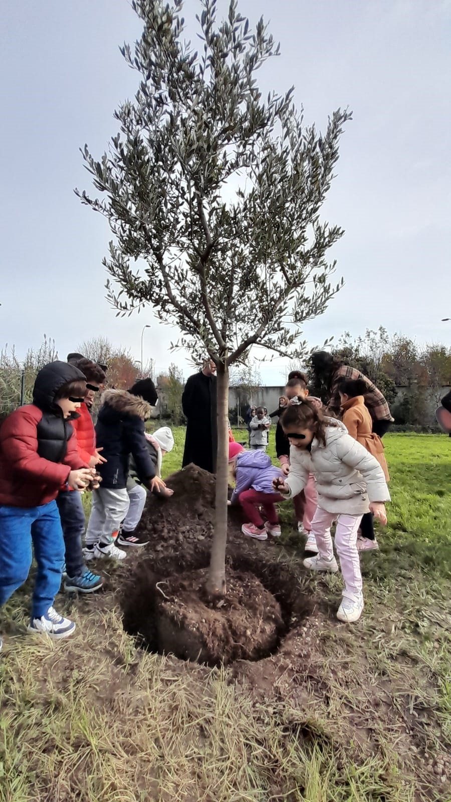 treviglio festa albero 2024 pro loco8