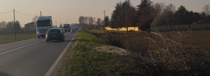 Rasati al suolo gli ultimi bagolari sulla Sp Francesca