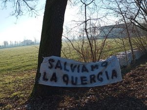 La quercia secolare rischia di essere abbattuta, in paese parte la protesta